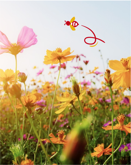 Fleurs jaunes et roses