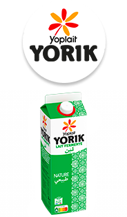 Marque Yoplait Yorik