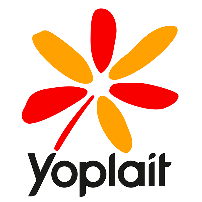 Yoplait en Brique